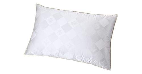 Zoned Down Pillow