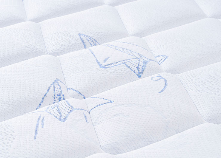 04_0000_ESC_2321 拷贝