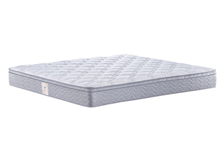 11111111_0003_ESC_2298 拷贝