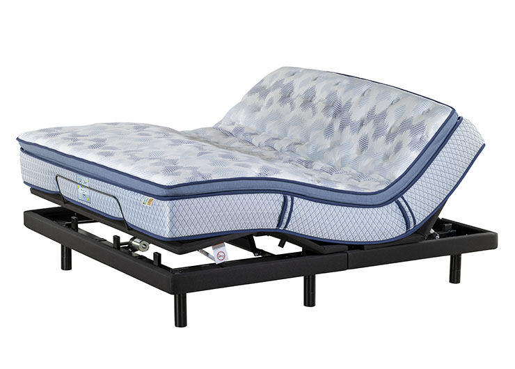 未标题-1_0001_DSC0221 拷贝